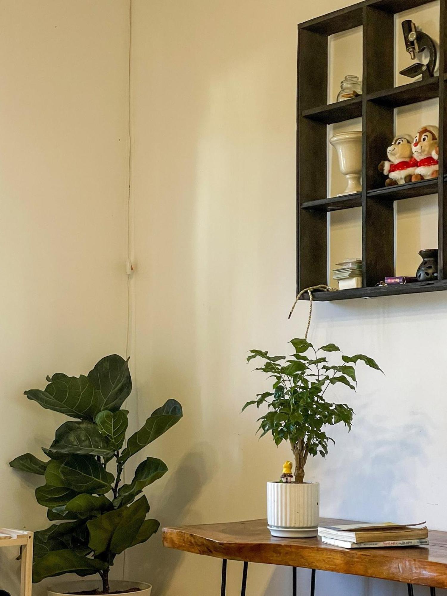 Hat De Homestay דה לאט מראה חיצוני תמונה
