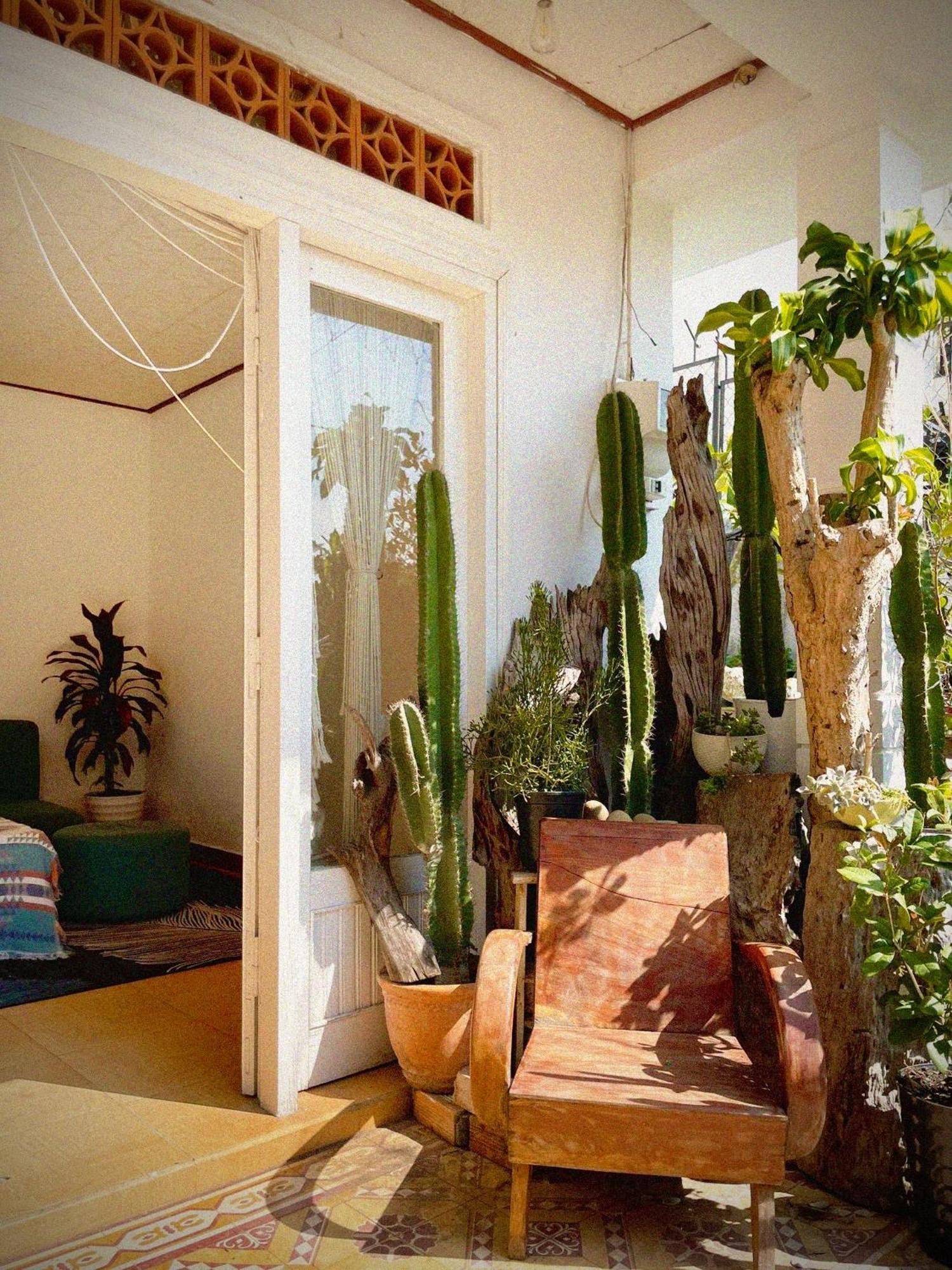 Hat De Homestay דה לאט מראה חיצוני תמונה