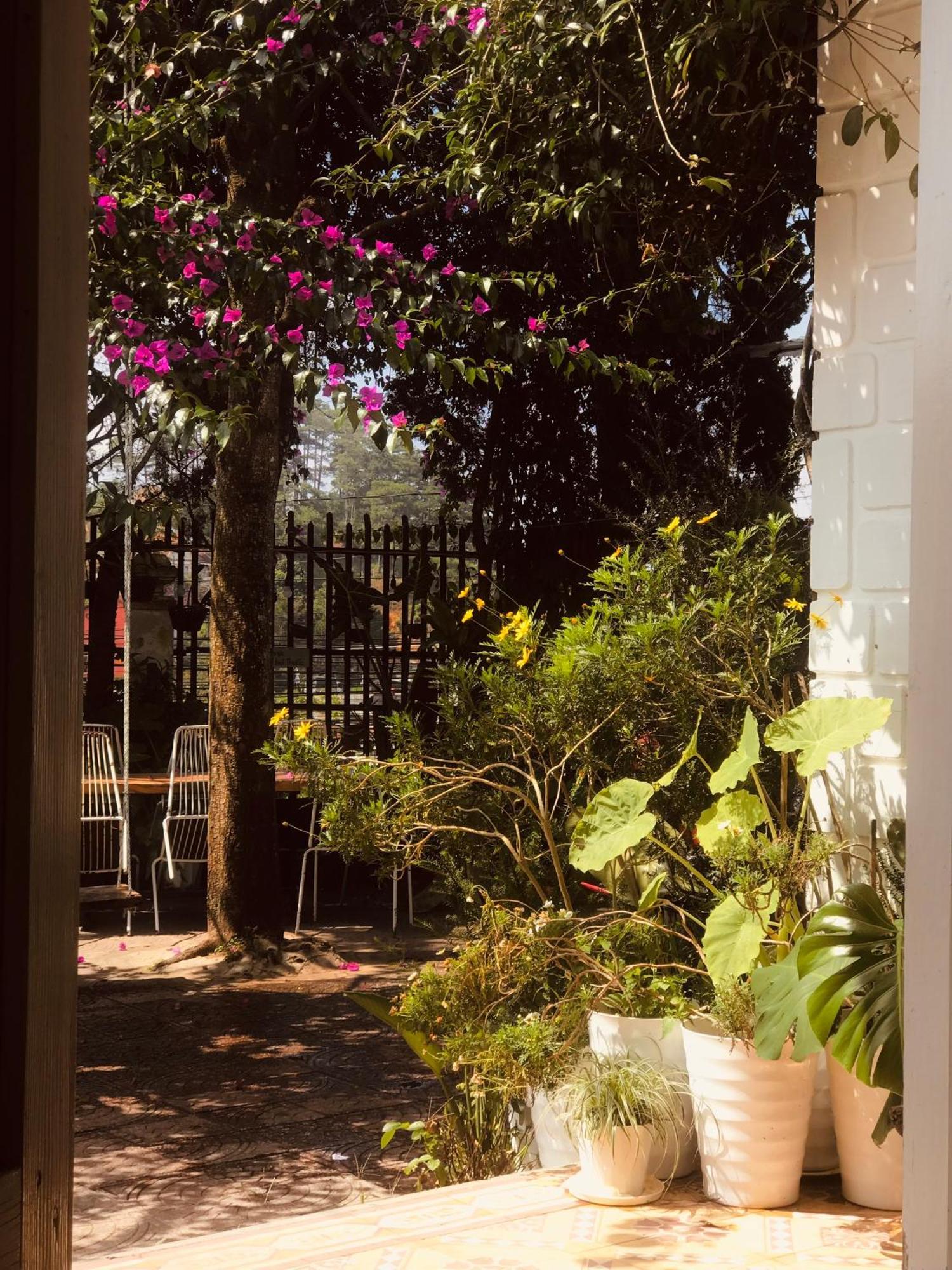 Hat De Homestay דה לאט מראה חיצוני תמונה